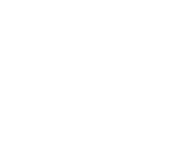 TRANSPORTE ESCOLAR